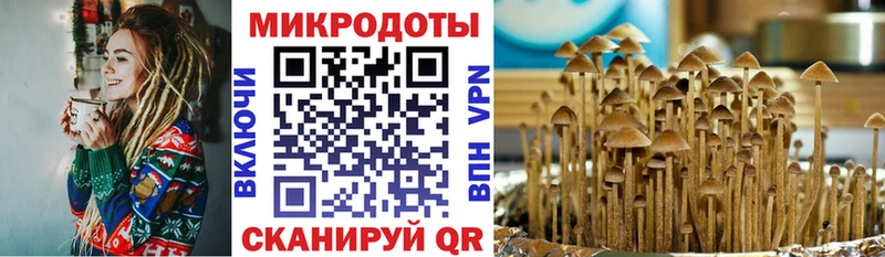Купить  Зарайск  Галлюциногенные грибы мухоморы 